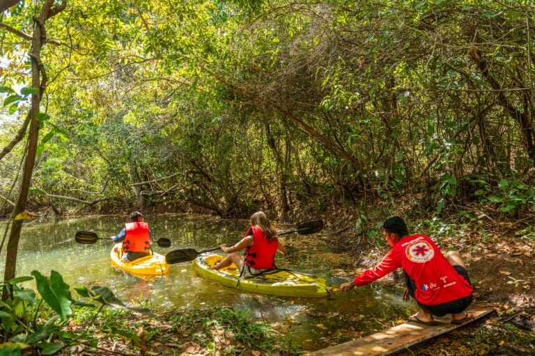FAB08752b-768x512 Álbum de fotografias