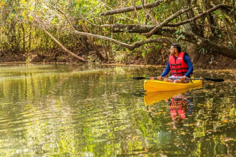 FAB08773b-768x512 Álbum de fotografias