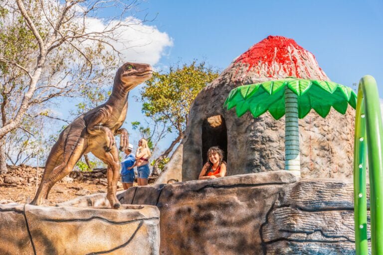 FAB08986b-768x512 Álbum de fotografias